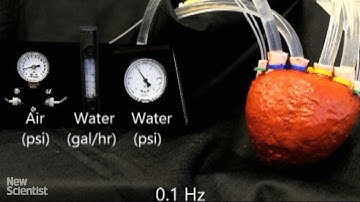 Foam heart powered by air can pump liquid