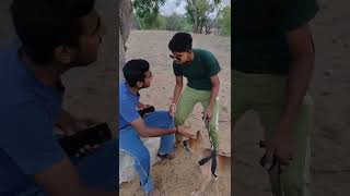 newगंडक राजस्थानी कॉमेडी pardes full movie, shahrukh khan movies, bollywood movies chhuni m #youtube