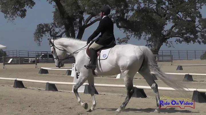 350D Natasha Kaplan on Zanz JR Beginner Novice Dressage Woodside May 2016