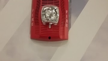 System Sensor SPSR (SpectrAlert Advance Speaker Strobe) Fire Alarm