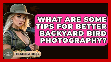 What Are Some Tips For Better Backyard Bird Photography? - Bird Watching Diaries