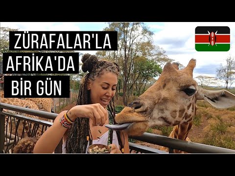 AFRİKA'da AŞIK OLDUM!! - KENYA, NAİROBİ 🇰🇪 - ZÜRAFA MERKEZİ - 52