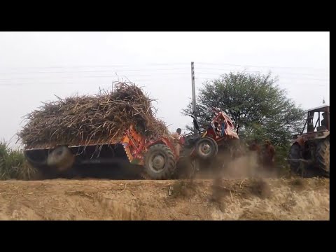 ভিডিও: খড় এবং খড়ের চপার: আমরা বেলগুলির জন্য একটি স্ট্র চপার, এমটিজেড ট্র্যাক্টরের পিছনে ক্রাশার এবং কম্বাইন, ম্যানুয়াল এবং মাউন্ট করা বিকল্পগুলি বেছে নিই