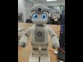 Alphamini Robot, Converting text to Speech Video -1