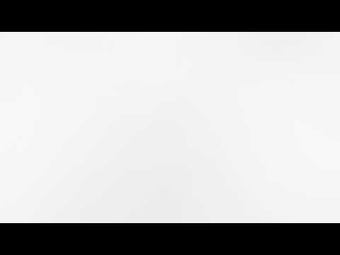 팔로알토 유튜브 스트리밍 라이브 (20260719)