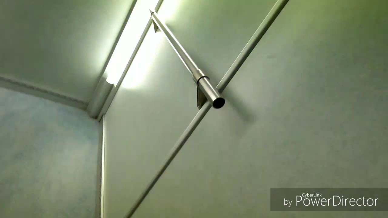 Nijmegen crazy Columbian