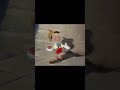 Pinocchio And Pinocchio 