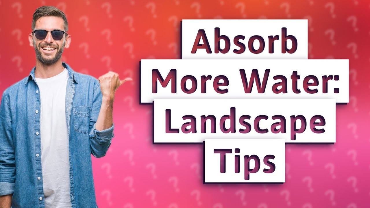 How Can I Make My Landscape Absorb More Water? YouTube