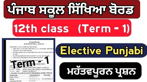 PSEB 12th class Elective Punjabi paper 2021 | PSEB 12th class elective Punjabi question paper