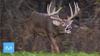 GIANT Illinois Buck in Rut | Hunt with Gregg Ritz | Monster Bucks Mondays