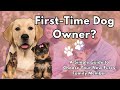 A guide for firsttime dog owners to decoding popular breeds