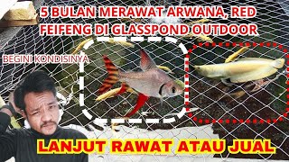 Download Lagu THE GREAT GROWTH OFF : ARWANA VS RED FEIFENG MP3 Download Lagu THE GREAT GROWTH OFF : ARWANA VS RED FEIFENG MP3