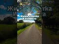 музыкальная ностальгия 🎸