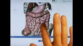 Visible Body 3D Digestive Anatomy for iPad tutorial screenshot 1