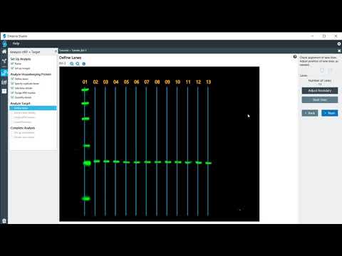 Empiria Studio: Target Analysis using a HKP or a PTM Protein for Normalization