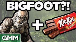 Real Bigfoot Facts (GAME)