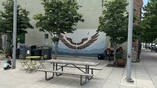 Downtown Port Townsend Waterfront July 2025