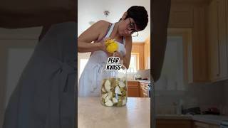 Pear Kv Recipe 8 Pears 12 Cup Sugar 4L Water Ferment 23D Bottle 12D Chill.