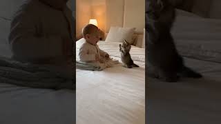 Kedi Ile Bebeğin Hoş Dostluğu
