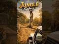 Jungle Safari Masti Time 🥰#shorts #ytshorts #automobile #vlog #junglesafari #bolero
