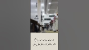 سورة الضحى القارئ عبدالله علي