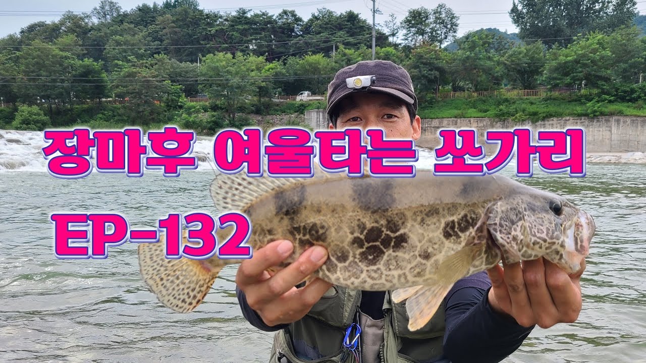 오랫만에 덩어리 구경 했어요. 포말포인트-1 鳜鱼 EP-132
