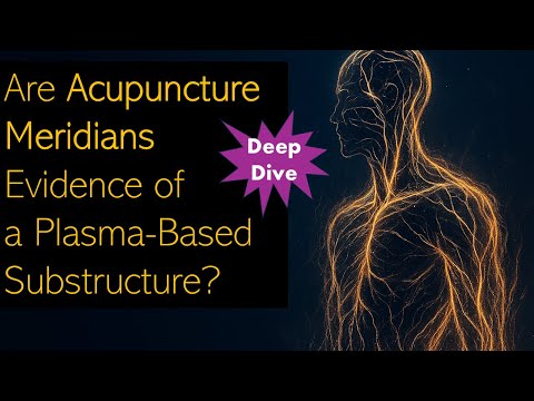 The Body's Plasma Filamentary Network - Deep Dive (Audio)