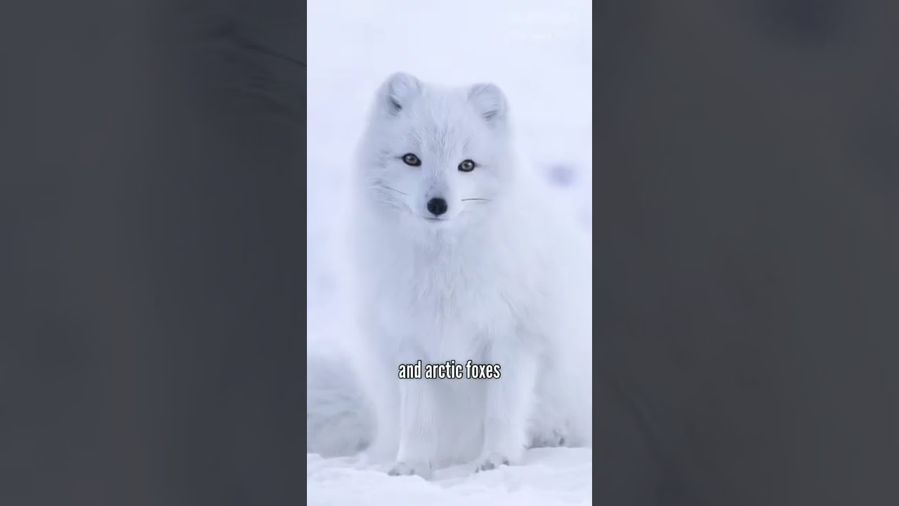 Are we that different from each other? Collaboration with @AnnaMarkarova