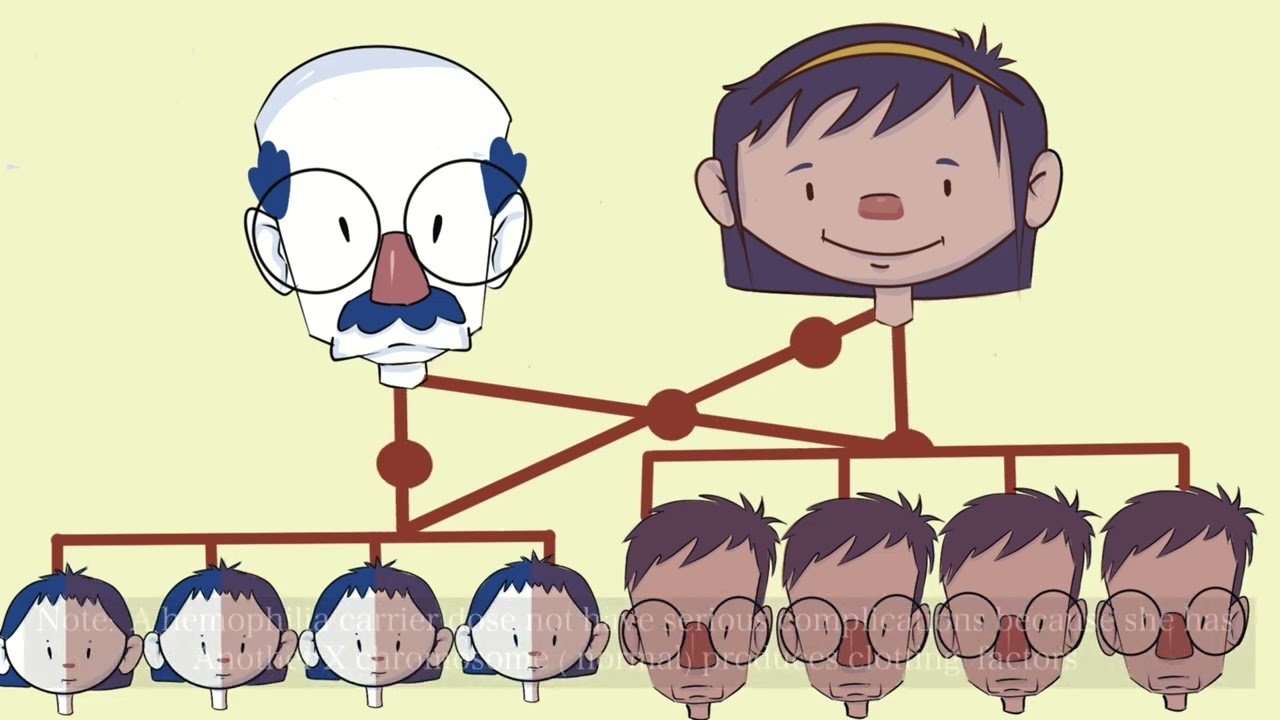 كل ما تحتاج معرفته عن الهيموفيليا What Is Hemophilia