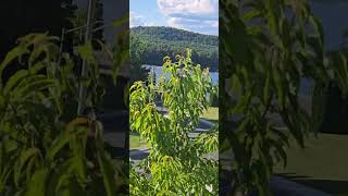 Beautiful Elliot Lake Ontario Canada!