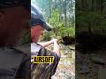 Mira Afiada? Teste de Airsoft!#shorts #shortsvideo #airsoft #shortsfeed