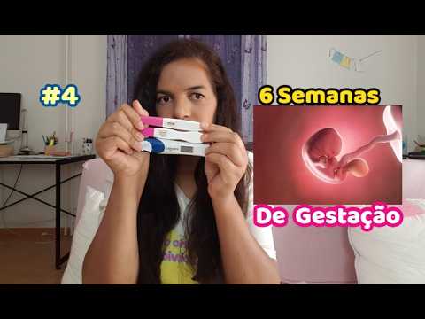 #4 6 SEMANAS DE GESTAÇÃO- MN
