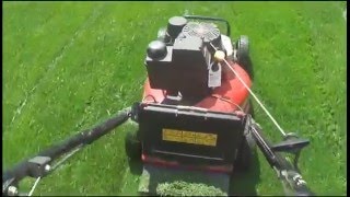 2016 Toro Commercial 21