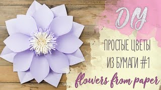 DIY l Простые цветы из бумаги #1 l flowers from paper