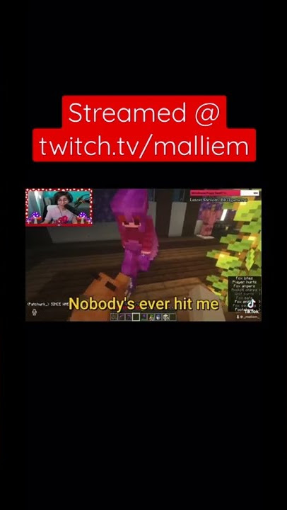 Foxes do WHAT?!?! #minecraft #lgbtq #smallstreamer #funny #funnymoments #gay #lesbian #smp