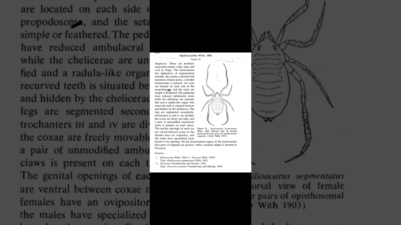 Classification of subclass Acari Superorder Parasisitformes Opilocarida   Reported by Mike Jowker Ar
