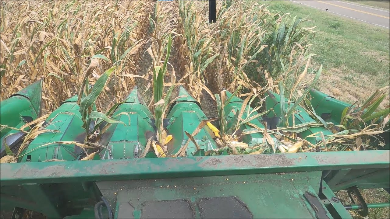 9/1/21: Testing Out The Combine And The Corn