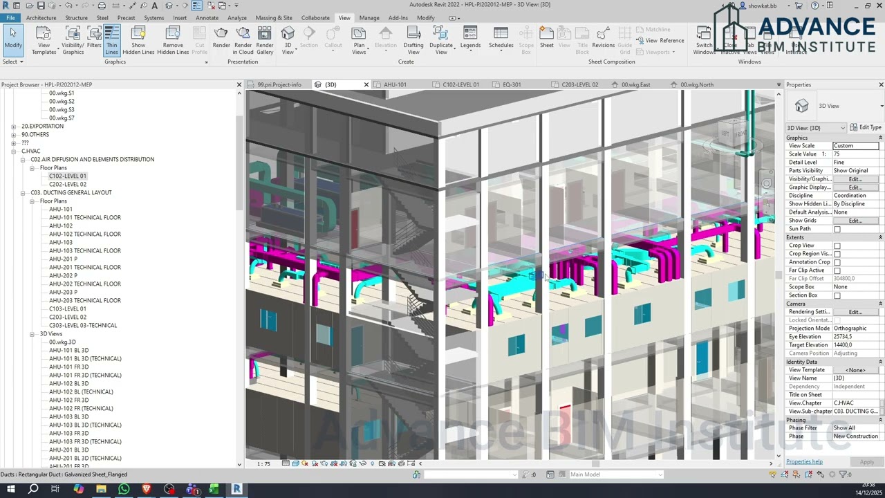 Revit MEP Live Project Part 01 | Project Navigation, UI, Link Arch Model & Section Box, option bar