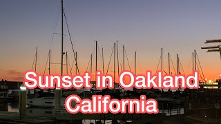 Oakland is a city on the east side of san francisco bay, in
california. jack london square has statue writer, who frequented area.
nearby, old o...