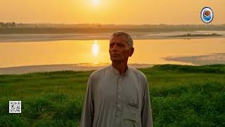 بث مباشر من قِبل GDOM Iraq | أعلام هيأة التشغيل