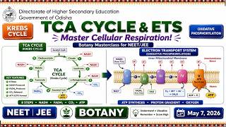 Online ASP for NEET/JEE aspirants : Botany : Tricarboxylic Acid , / Electron Transport system