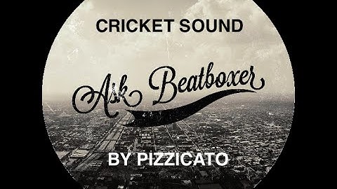 Cricket sound tutorial by Pizzicato