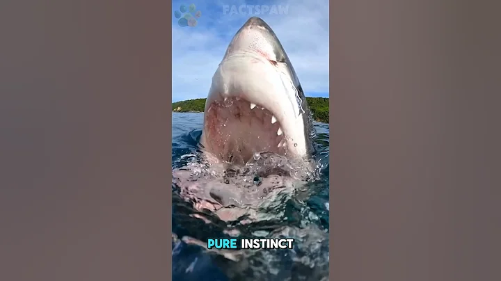 You won’t believe what’s lurking under waters… #animalsfacts #shorts #wildlife