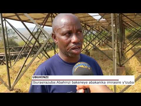 IBURASIRAZUBA: ABAHINZI BAKENEYE ABAKANIKA IMIRASIRE Y'IZUBA
