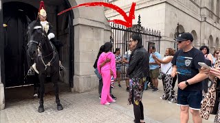 WATCH THIS! Horse senses something weird in this situation! See the horse’s reaction…