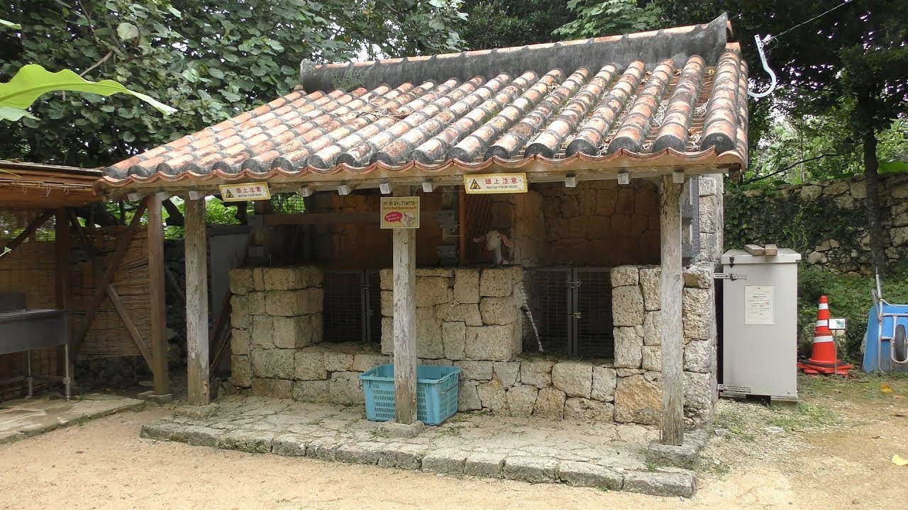 地頭代の家のヤギ 海洋博公園 国営沖縄記念公園 おきなわ郷土村 19年5月10日 Youtube