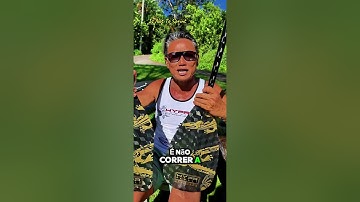 How to Choose & Decide on Team PADDLES 🤔? VISUAL CONFORMITY ? or  Focus on PHYSICS ❤️❤️ 