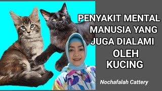 Penyakit Mental Manusia yang juga dialami oleh kucing by Nova Nochafalah 160 views 1 year ago 8 minutes, 26 seconds