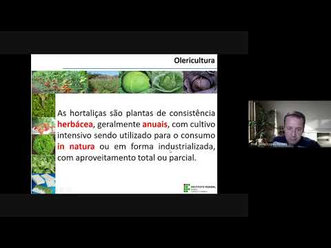 Vídeo: Olericultura Informações - Aprenda sobre a importância da olericultura