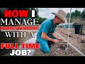 How i manage homesteading with a full time job  heres how